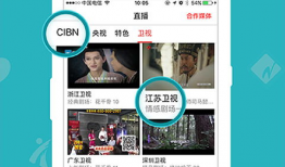看片直播的app有什么,看片直播APP深度解析